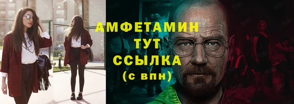 индика Горнозаводск