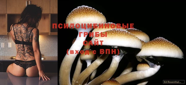 индика Горнозаводск