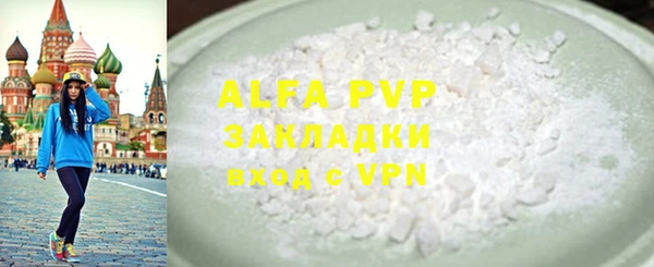 индика Горнозаводск