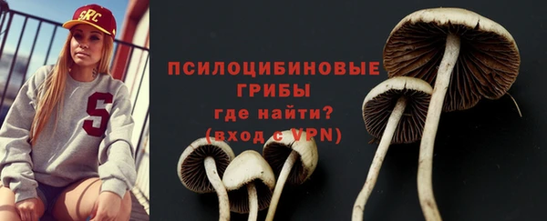 индика Горнозаводск