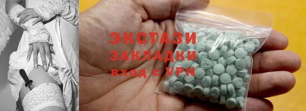 индика Горнозаводск