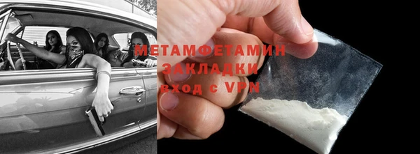 индика Горнозаводск