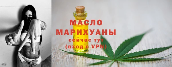 индика Горнозаводск