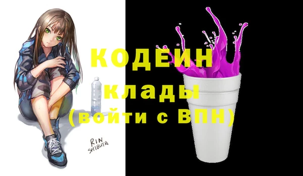 индика Горнозаводск
