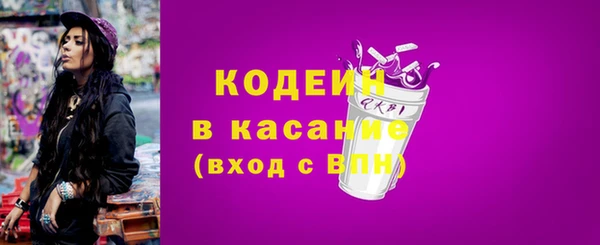 индика Горнозаводск