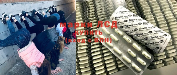 индика Горнозаводск