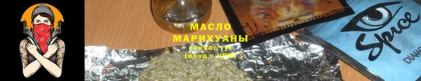 индика Горнозаводск