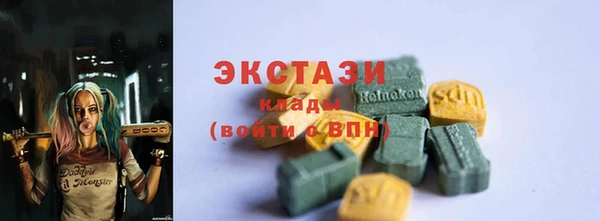 индика Горнозаводск