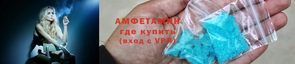 индика Горнозаводск