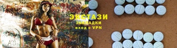 индика Горнозаводск