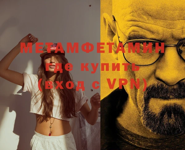 индика Горнозаводск
