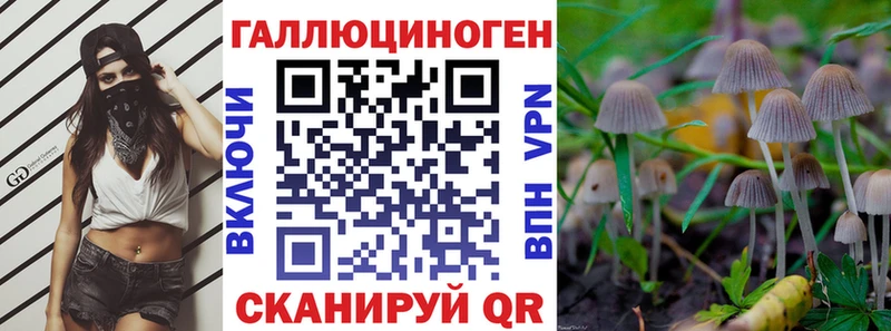 мега вход купить это клад Псилоцибиновые грибы Cubensis Саранск